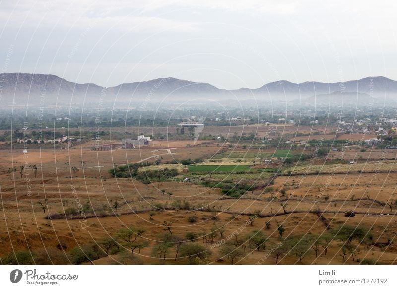 Wüstennebel Natur Landschaft Pflanze Urelemente Erde Sand Nebel Wärme Dürre Feld Hügel Berge u. Gebirge Pushkar Pushkar Fair Indien Dorf dehydrieren Ferne