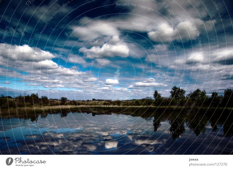 Klarheit II abgelegen Baum beschaulich atmen Einsamkeit Erholung ruhig Horizont Idylle kalt Umweltschutz Naturliebe Panorama (Aussicht) schweigen See Glätte