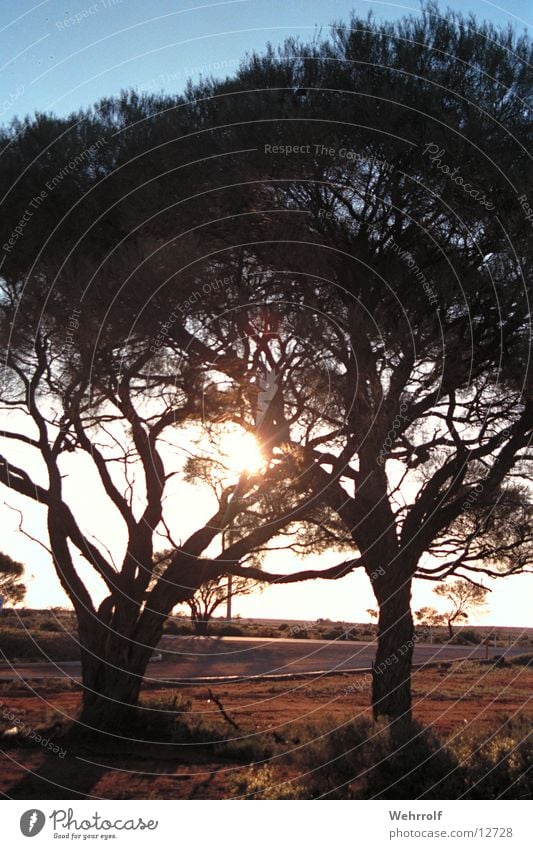 Outback3 Australien Sonnenuntergang Natur