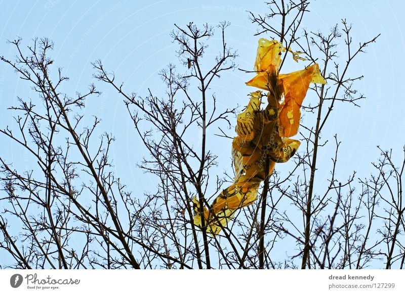 Die Plastiktüte. Farbfoto Außenaufnahme Tag Sonnenlicht Zentralperspektive Dekoration & Verzierung Natur Himmel Baum Sträucher Accessoire Papier Verpackung