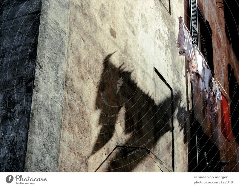 beschaffenheit Italien Bekleidung Wäsche Haus Ruine ruhig hängen Textilien Fenster Fensterladen grün Beleuchtung hängend Dienstleistungsgewerbe Schatten Farbe