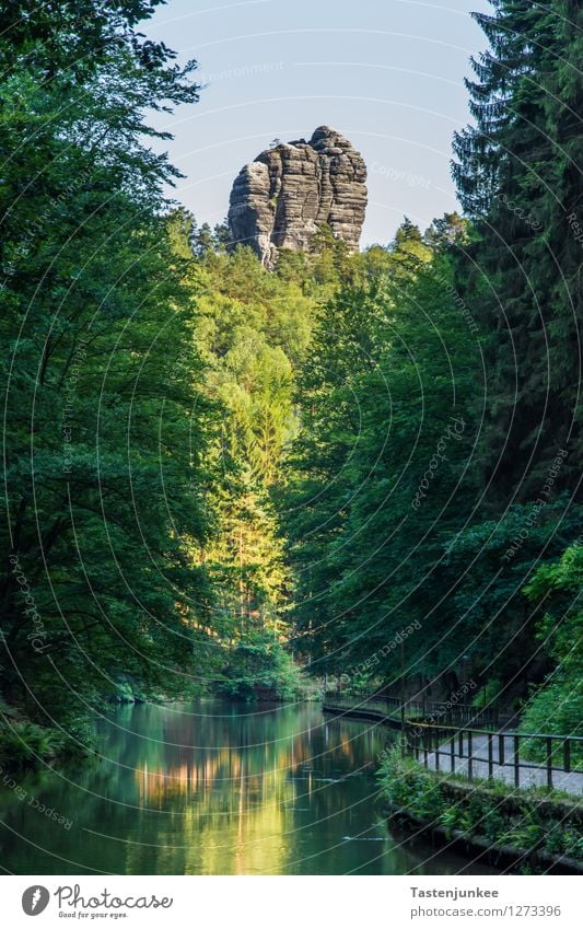 Elbsandsteinhochland Natur Landschaft Pflanze Erde Wasser Sonne Sommer Wald Hügel Felsen Berge u. Gebirge Elbsandstein Hochland wandern Abenteuer