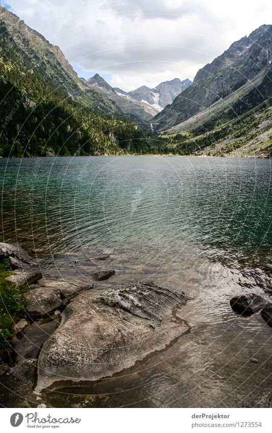 Ziel im Blick Ferien & Urlaub & Reisen Tourismus Ausflug Abenteuer Ferne Freiheit Berge u. Gebirge wandern Umwelt Natur Landschaft Pflanze Tier Sommer