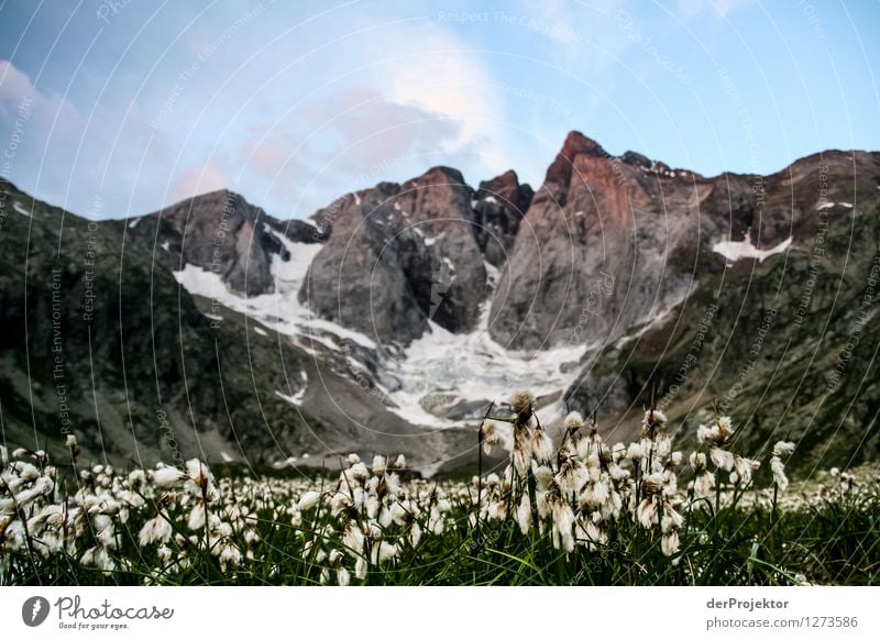 Pyrenäen-Wanderweg 5 Ferien & Urlaub & Reisen Tourismus Ausflug Abenteuer Ferne Freiheit Berge u. Gebirge wandern Umwelt Natur Landschaft Pflanze Tier