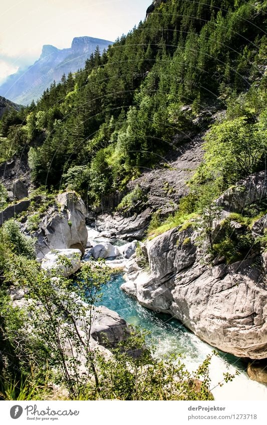 Pyrenäen-Wanderweg 1 Ferien & Urlaub & Reisen Tourismus Ausflug Abenteuer Ferne Freiheit Camping Berge u. Gebirge wandern Umwelt Natur Landschaft Pflanze Tier