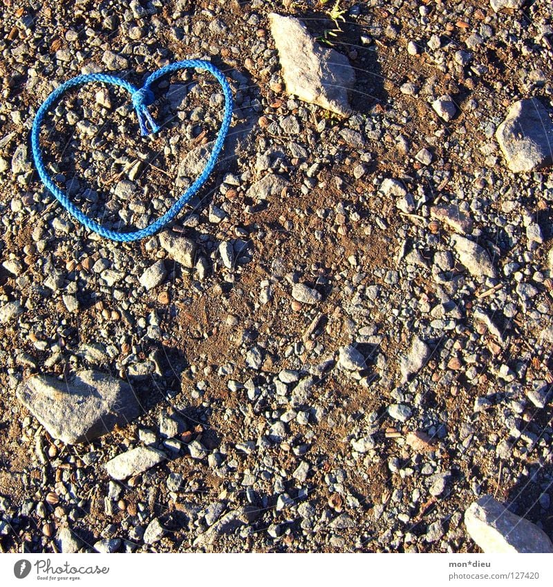 love is everywhere Herz Liebe Stein Torf Heiratsantrag Kieselsteine blau Schuhbänder Schatten Wege & Pfade Boden Valentinstag Mineralien i love you