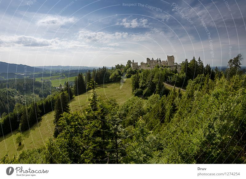 Burg Ruine Hohenfreyberg Ferien & Urlaub & Reisen Tourismus Ausflug Ferne Sightseeing Sommer Sommerurlaub Berge u. Gebirge wandern Natur Landschaft Pflanze