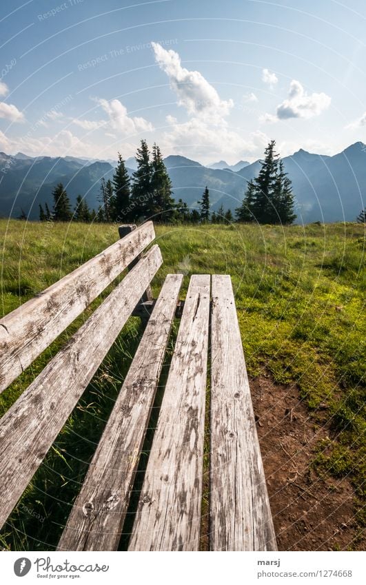 Schieb nicht immer alles auf die lange Bank! Erholung Ferien & Urlaub & Reisen Tourismus Ausflug Abenteuer Freiheit Berge u. Gebirge wandern Natur Landschaft