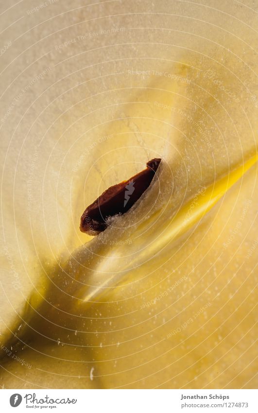 Der Apfel Lebensmittel Frucht Ernährung Essen Frühstück Bioprodukte Vegetarische Ernährung Diät Slowfood Fingerfood ästhetisch Apfel der Erkenntnis Kerne