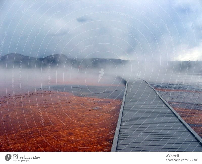 Der Weg in den Nebel Steg heiß Holz unheimlich Heisse Quellen Amerika Wyoming Wege & Pfade Wasser Himmel Yellowstone Nationalpark USA Dunst Wasserdampf