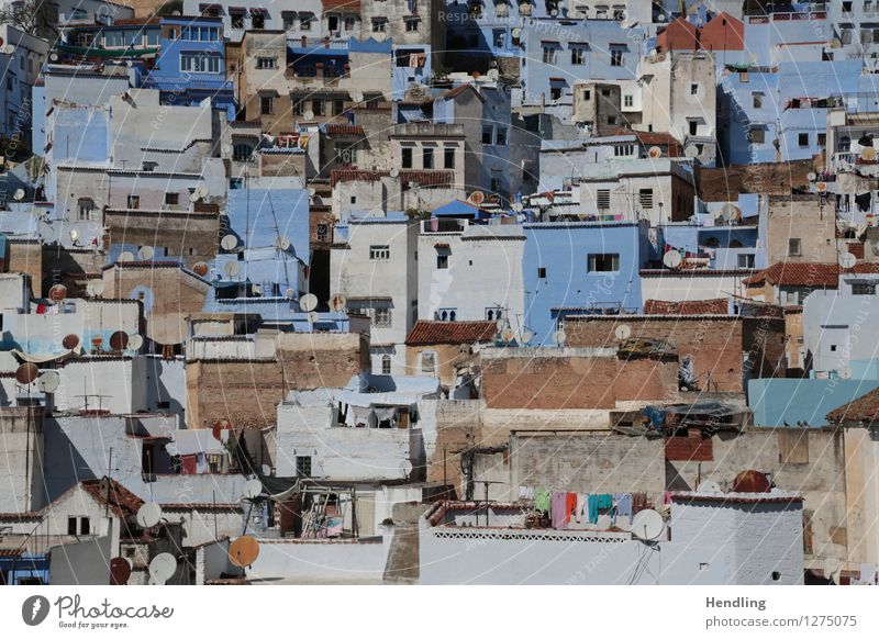 Chefchaouen Stein Ornament Leben Chechaouen Afrika Marokko Stadt Dorf Berge u. Gebirge Berghang Fassade Architektur wild sortieren wimmeln blau Farbe ruhig