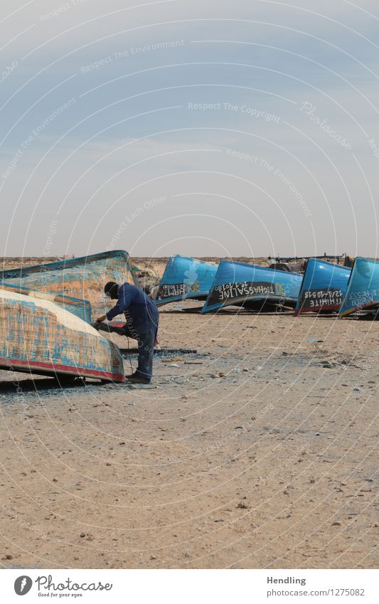 Boote in der Sahara Ferne Sonne Strand Meer Fischer Handwerk Maschine maskulin Mann Erwachsene 1 Mensch Küste Wüste Schifffahrt Bootsfahrt Fischerboot