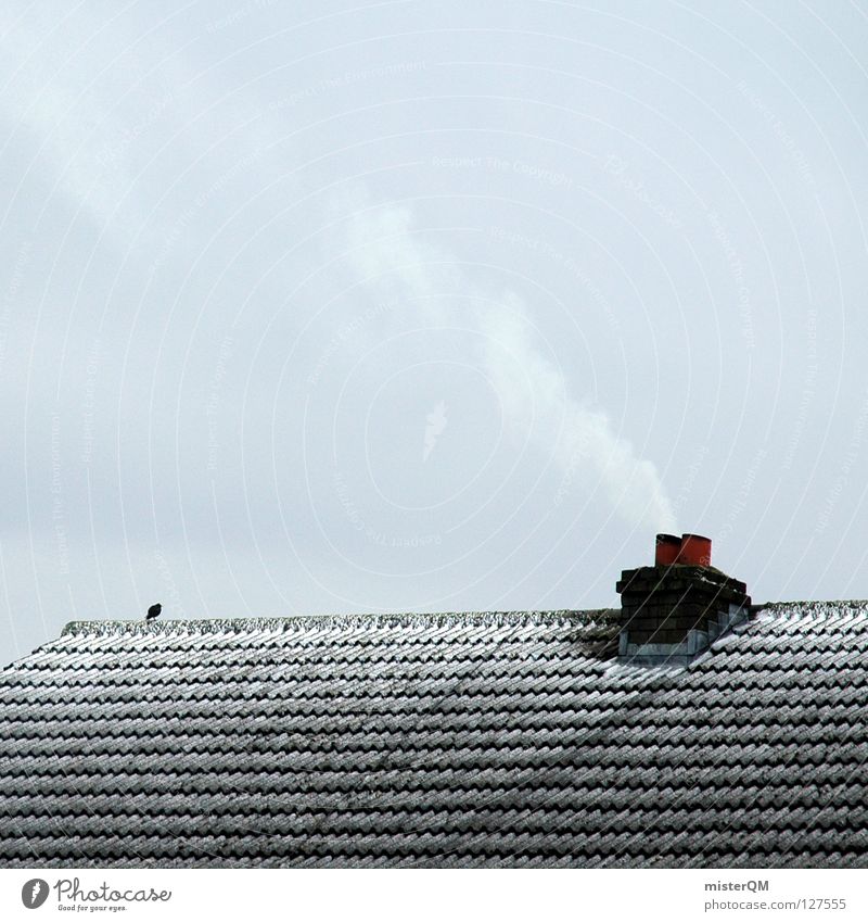 Das Dach der Welt. II kalt Winter Vogel Wolken grau trüb Mangel Eis simpel schlechtes Wetter dezent Gelassenheit leer Rauch heizen Einsamkeit ruhig Schornstein