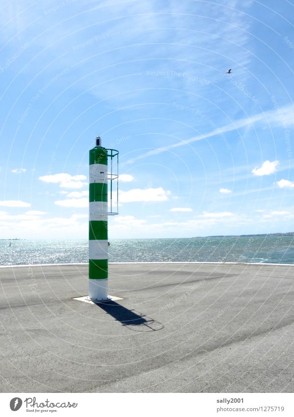 Kai... Himmel Sonnenlicht Frühling Schönes Wetter Meer Atlantik Hafen leuchten ästhetisch sportlich Ferne hoch maritim rund grün Einsamkeit Gelassenheit