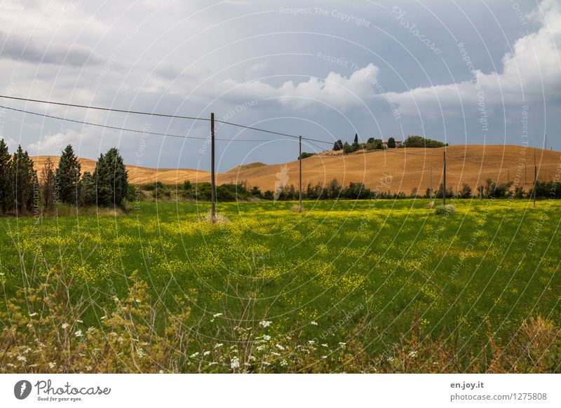 nachhaltig Gesunde Ernährung Allergie Ferien & Urlaub & Reisen Sommer Sommerurlaub Landwirtschaft Forstwirtschaft Energiewirtschaft Umwelt Natur Landschaft