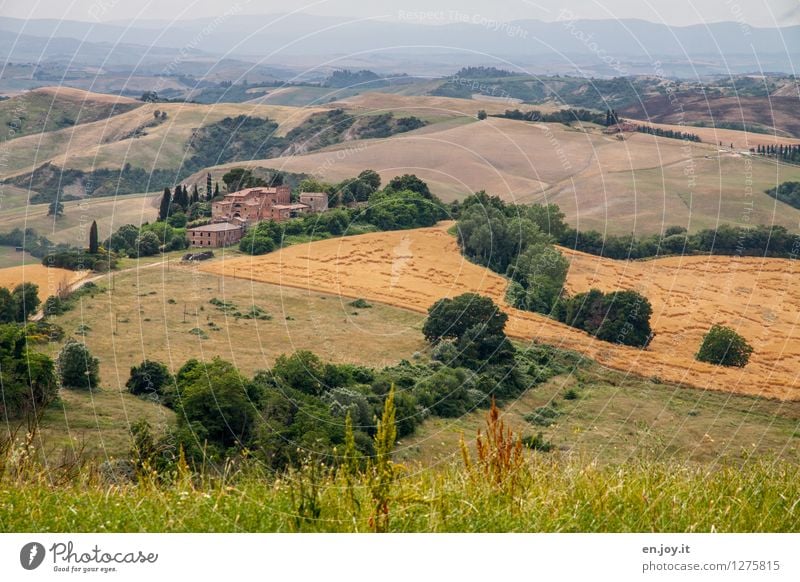 Landhaus Allergie Ferien & Urlaub & Reisen Tourismus Ausflug Ferne Sommer Sommerurlaub Landwirtschaft Forstwirtschaft Umwelt Natur Landschaft Pflanze Horizont