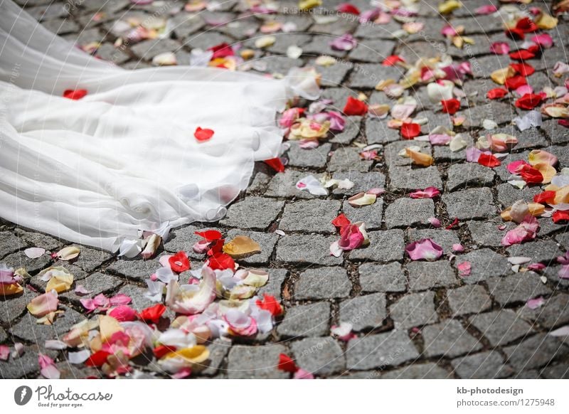 Close-up of a white wedding dress Hochzeit Veranstaltung Blume Rose Tulpe Kleid Duft Feste & Feiern Liebe Gefühle Zusammensein bridal ceremony church colorful