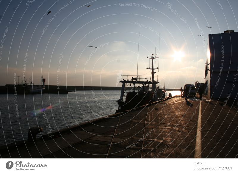 .:: SONNENuntergang im Hafen ::. Fischer Sonnenuntergang Frankreich Wasserfahrzeug Stimmung Himmel