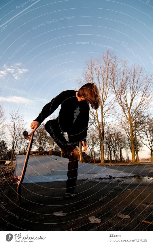 stehhilfe Abenddämmerung Skateboarding Zufriedenheit gestreift Teer Beton Licht Baum Weitwinkel Jugendliche stehen Sturz Streifen Park Blatt Schuhe Wolken