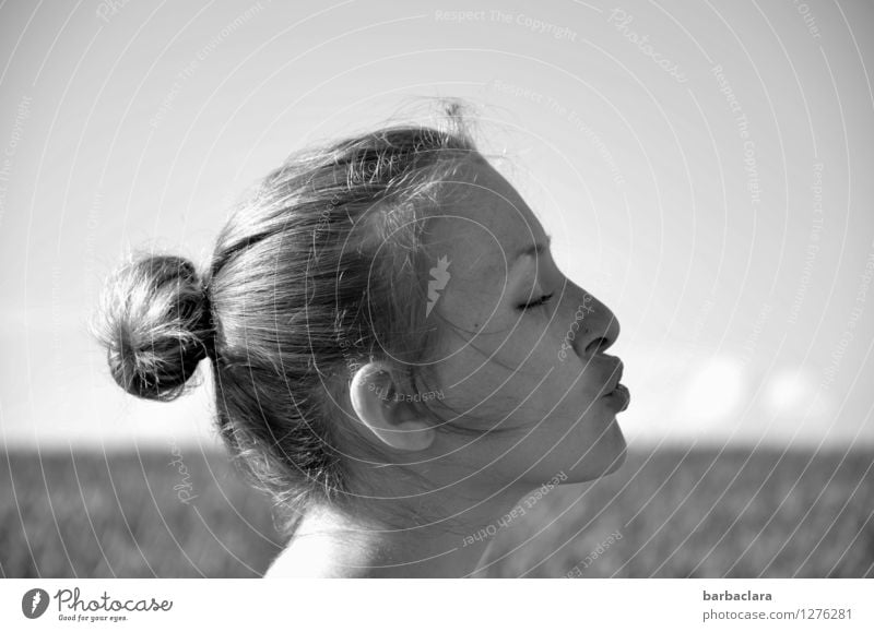 Die Wolken wegpusten feminin Frau Erwachsene Kopf Sommersprossen Himmel Schönes Wetter Feld Locken Zopf blond lustig Freude Hoffnung Klima Kreativität Natur