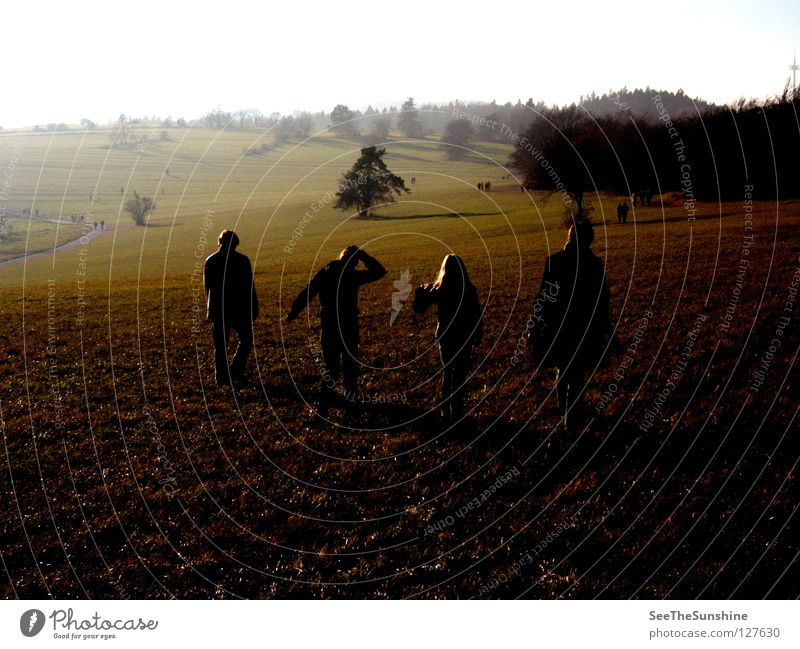 Herbstspatziergang Wald dunkel fremd Wiese Spatziergang Mensch anonym Wege & Pfade Spaziergang