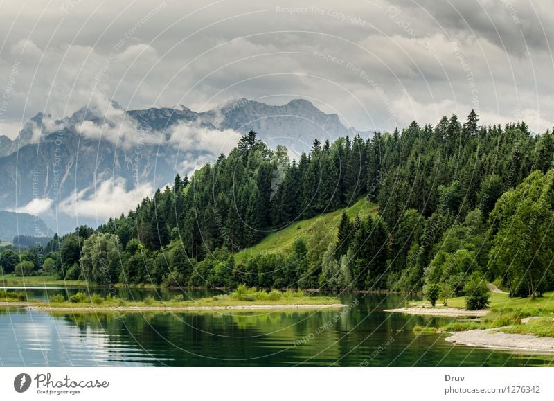 Forggensee, Allgäuwälder und Alpengipfel Angeln Ferien & Urlaub & Reisen Sommer Sommerurlaub Berge u. Gebirge Natur Landschaft Pflanze Wasser Himmel Wolken