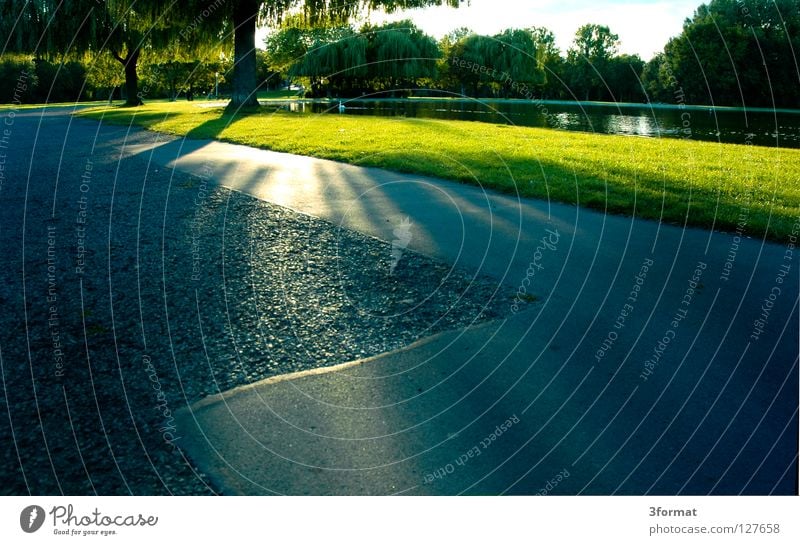 peißnitz Park grün Gegenlicht Sommer Abendsonne Beton Asphalt See Wiese Teich Gewässer Spaziergang Freizeit & Hobby Wasserfontäne Feierabend grau Garten