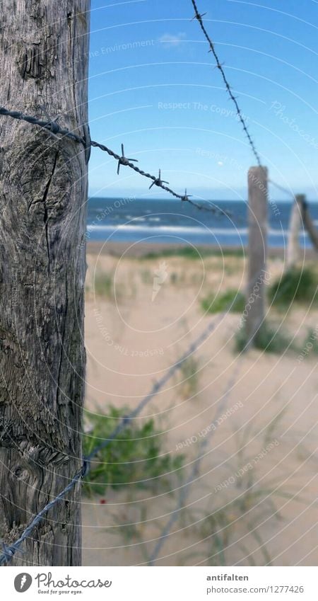 Naturschutz Ferien & Urlaub & Reisen Ferne Freiheit Sommerurlaub Sonne Strand Meer Düne Stranddüne Dünengras Umwelt Landschaft Sand Luft Wasser Himmel