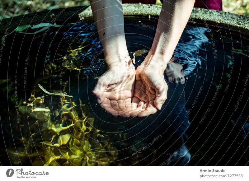 Ursprung Getränk trinken Erfrischungsgetränk Trinkwasser Lifestyle Gesundheit Wellness Leben harmonisch ruhig Mensch Hand 1 Sommer Lebensfreude Sinnesorgane