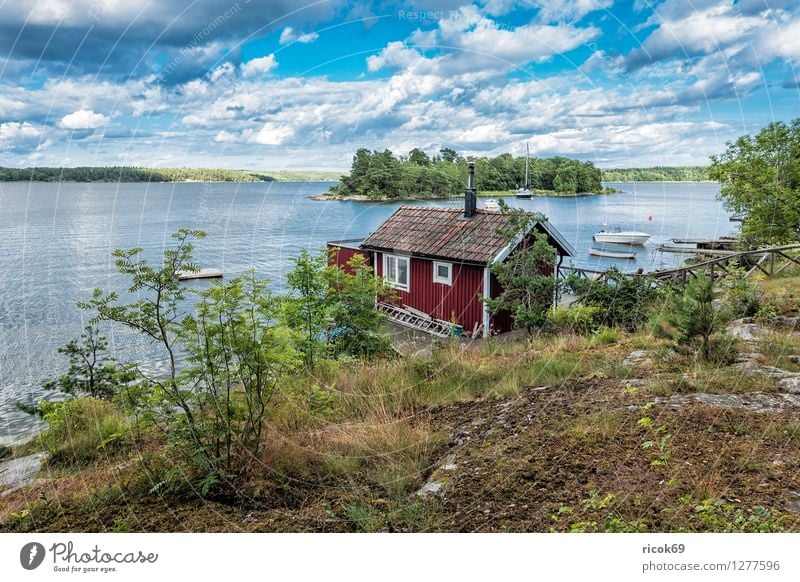 Schären an der schwedischen Küste Erholung Ferien & Urlaub & Reisen Tourismus Insel Natur Landschaft Wolken Baum Ostsee Wasserfahrzeug blau grün Schweden