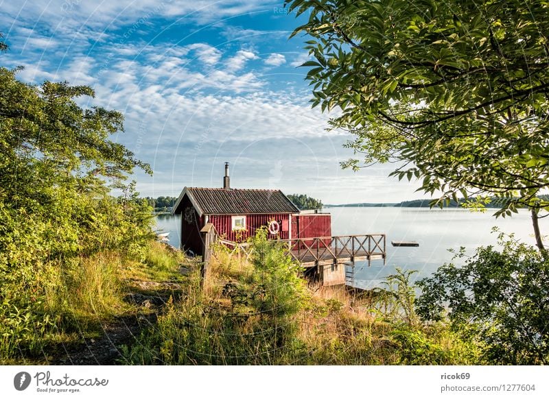 Schären an der schwedischen Küste Erholung Ferien & Urlaub & Reisen Tourismus Insel Natur Landschaft Wolken Baum Ostsee Wasserfahrzeug blau grün Schweden