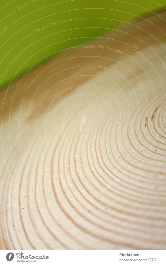 ° wooden wheel Baum Holz Jahresringe Fichte frisch Baumrinde grün Unschärfe Drehscheibe trocken feucht nass Sauerland Mitte Kreis drehen Säge Schleife