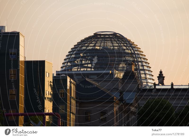 Regierung arbeitet II Ferien & Urlaub & Reisen Mensch Museum Berlin Stadt Dom Fassade Deutscher Bundestag Beginn anstrengen Farbfoto Außenaufnahme