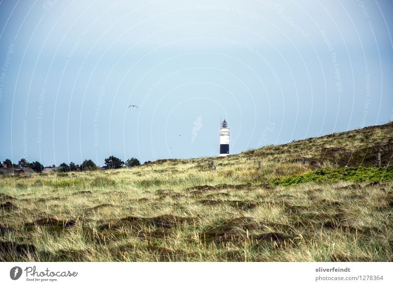 Sylt III Ferien & Urlaub & Reisen Tourismus Ausflug Abenteuer Ferne Freiheit Insel Umwelt Natur Landschaft Himmel Wolken Wetter schlechtes Wetter Unwetter Sturm