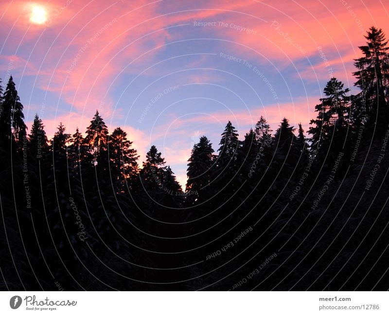 Black Forest Schwarzwald Wald Berge u. Gebirge Sonne Abend