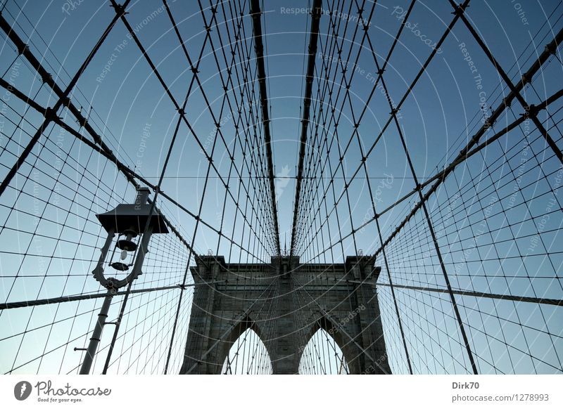 Spielplatz für Kletterkünstler II Tourismus Ferne Freiheit Städtereise Wolkenloser Himmel Schönes Wetter New York City Manhattan Stadtzentrum Brücke Wahrzeichen