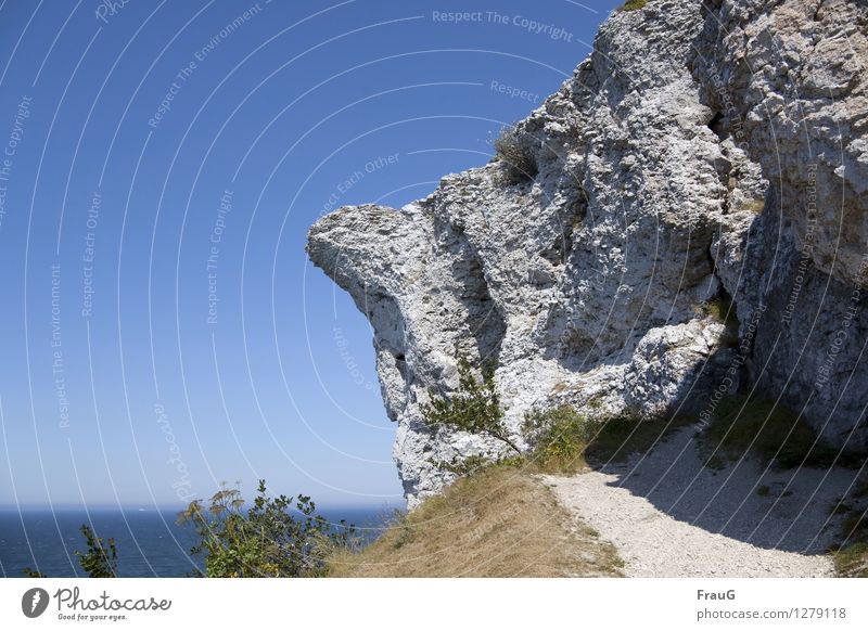 Hier geht´s nicht weiter! Natur Wolkenloser Himmel Sommer Schönes Wetter Gras Sträucher Felsen Strand Meer Ostsee Stein Gesicht beobachten außergewöhnlich eckig