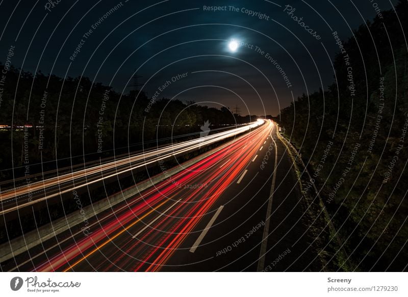 To the moon.... Landschaft Himmel Wolken Nachthimmel Mond Sommer Baum Verkehr Verkehrswege Personenverkehr Straßenverkehr Autofahren Wege & Pfade Autobahn