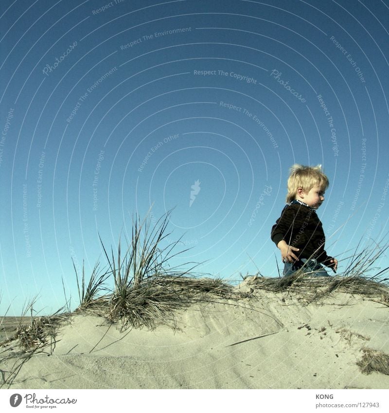 leaving klein Zwerg Kind Kleinkind Horizont gehen Wicht süß Strand Freude Stranddüne Sand laufen rauslaufen cute child Wind Blauer Himmel