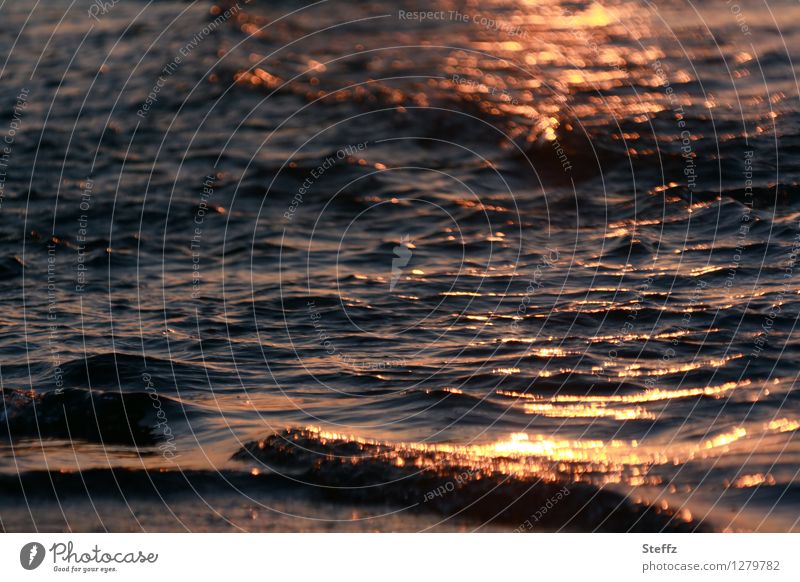 Letzter Abend an der Ostsee Ostseestrand Ostseeküste polnische Ostsee Sonnenuntergang Wasser goldenes Licht Lichtstimmung Lichtreflexe besonderes Licht