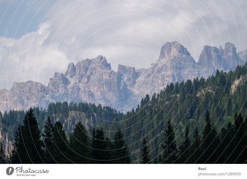 Hell Dunkel Staffelung Umwelt Natur Landschaft Urelemente Erde Himmel Wolken Sommer Schönes Wetter Baum Nadelwald Wald Felsen Alpen Berge u. Gebirge Dolomiten