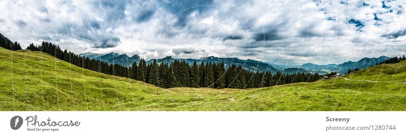 Weite Blicke Ferien & Urlaub & Reisen Tourismus Ausflug Berge u. Gebirge wandern Natur Landschaft Pflanze Himmel Wolken Sommer Wetter Baum Gras Sträucher Wiese