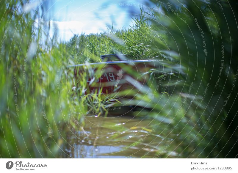 Nr. 19 in geheimer Mission Umwelt Natur Pflanze Wasser Schönes Wetter Gras Grünpflanze Seeufer Flussufer Bucht blau grün rot Sicherheit Abenteuer bedrohlich