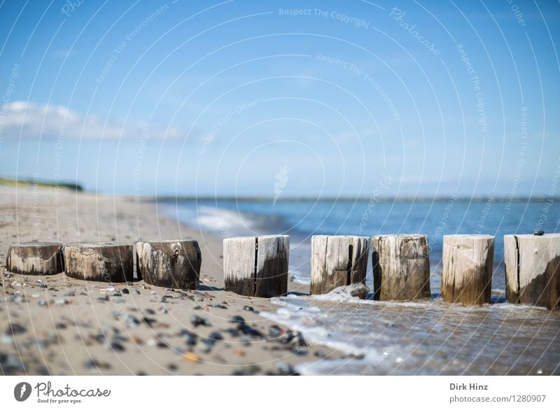 Buhnen östlich von Zingst Ferien & Urlaub & Reisen Tourismus Ausflug Meer Umwelt Natur Landschaft Sand Wasser Himmel Horizont Schönes Wetter Küste Strand Ostsee