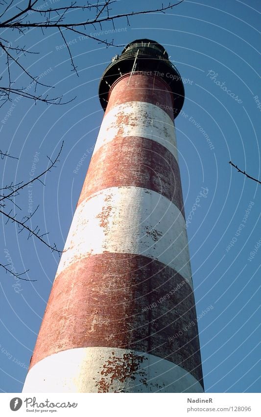 Sublimeness Leuchtturm Streifen Blauer Himmel Maryland Wahrzeichen Denkmal Lighthouse red white sky tree branches assateague USA Chincoteague