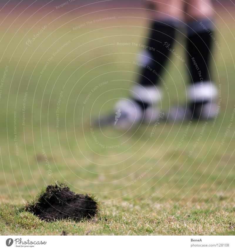 Maulwurf Fußballplatz Spielfeld Feld Wiese Gras Halm kaputt Loch Schuhe Fußballschuhe kürzen Fußballer Torwart Sportplatz Hügel dunkel schwarz braun grün