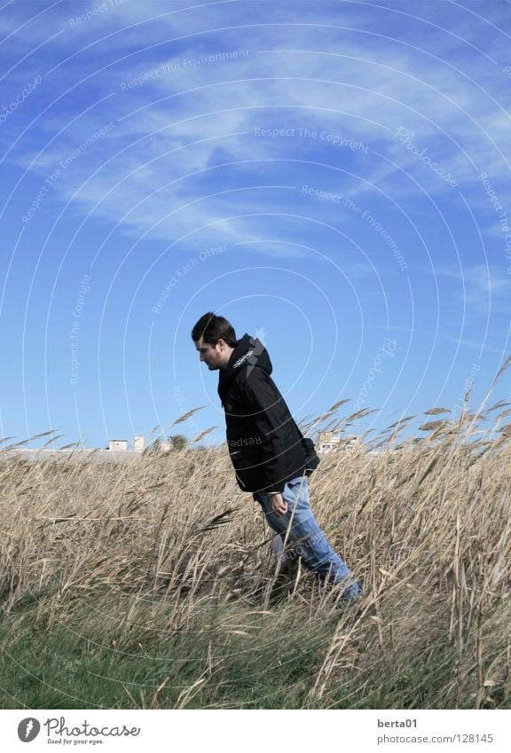 Gegen den Wind Südfrankreich Wolken Gras grün braun grau Mann schwarz Ferien & Urlaub & Reisen Gegenwind Windböe Freude Mistral windisch Freju kämpfen verrückt