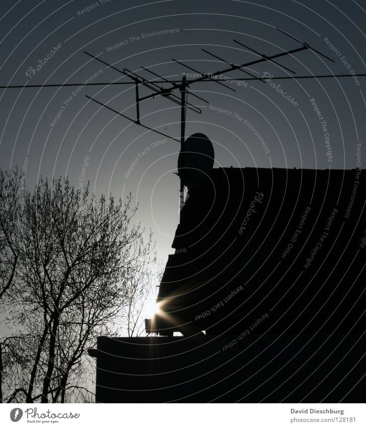 Sonniges Fernsehen Dach dunkel Antenne Draht Baum Himmel Mittag Nachmittag Linie Fernseher Sender Rauschen schwarz Licht Sonnenstrahlen Physik Entertainment