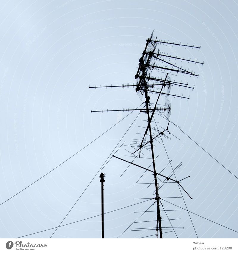 Freilichtmuseum Antenne veraltet Digital-Fernsehen graue Wolken Radio Langeweile historisch Dachantenne überholt Vorgänger DVB DVB-C DVB-S Kontakt Signal