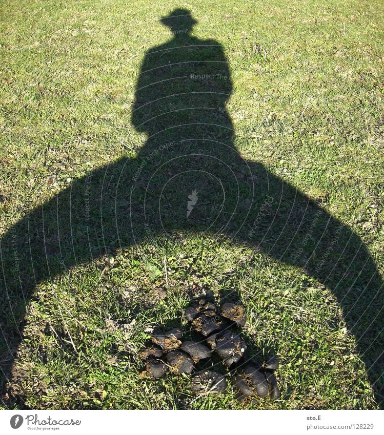 da sch*** ich drauf Kerl Mann maskulin Schatten verdunkeln Wiese Haufen Muster Ordnung Mütze Cowboy Osten Freude Sommer Mensch personenfoto Typ guy Kontrast